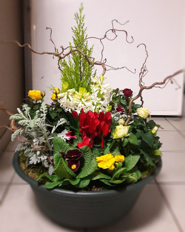 Coupe de plantes