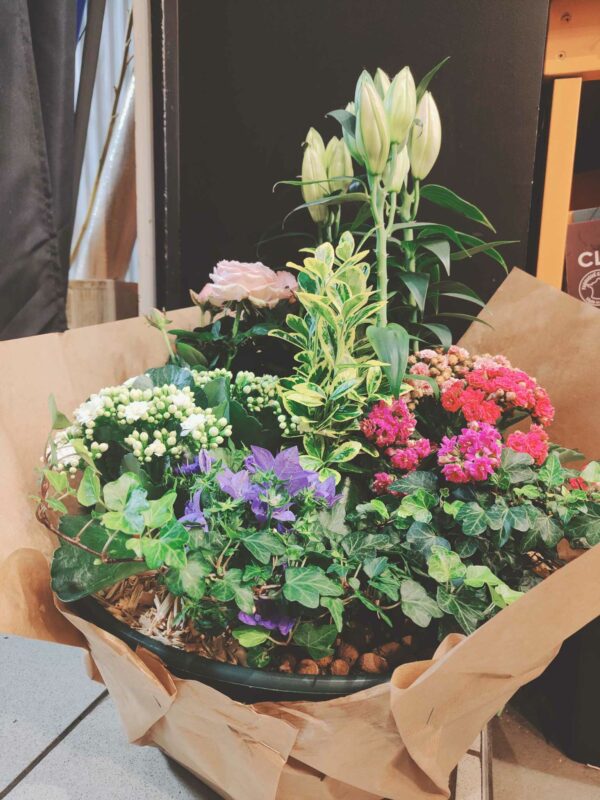 Coupe de plantes – Image 2
