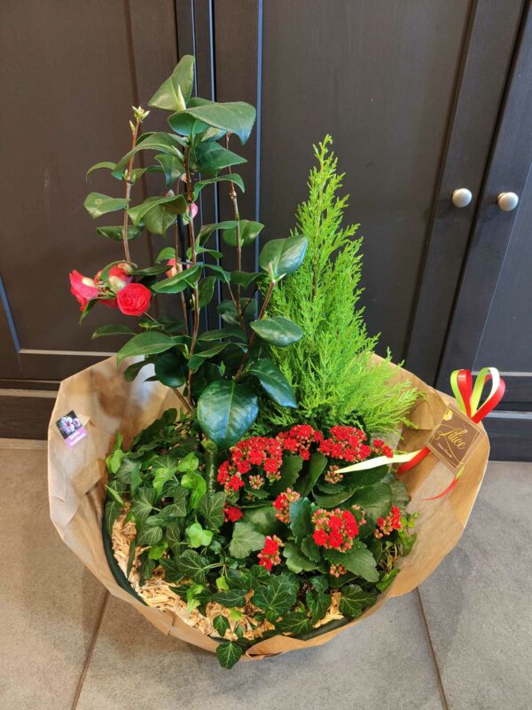 Coupe de plantes – Image 3