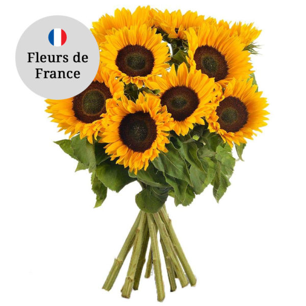 Bouquet de Tournesols