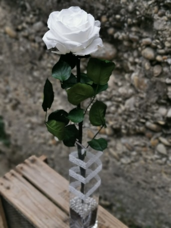 Rose éternelle Blanche dans soliflore - Lilice Artisan Fleuriste
