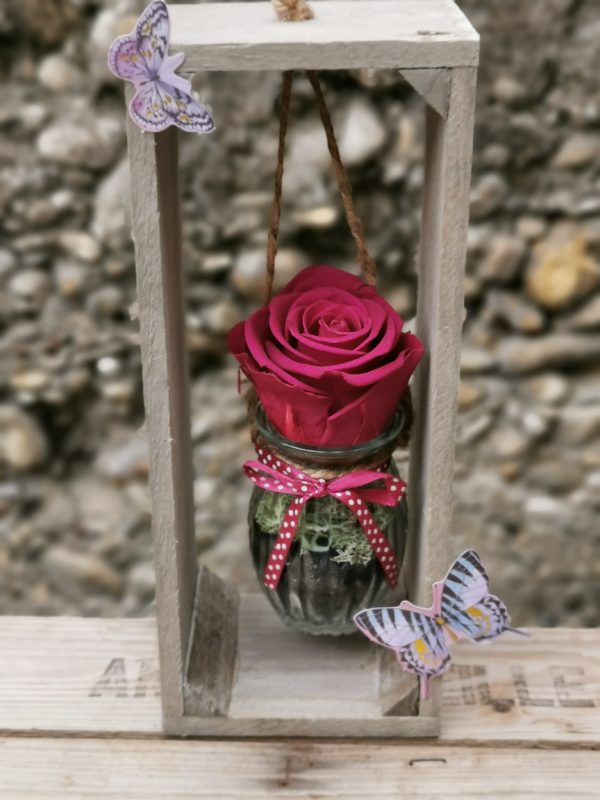 Rose éternelle suspendue (Lit de vin)