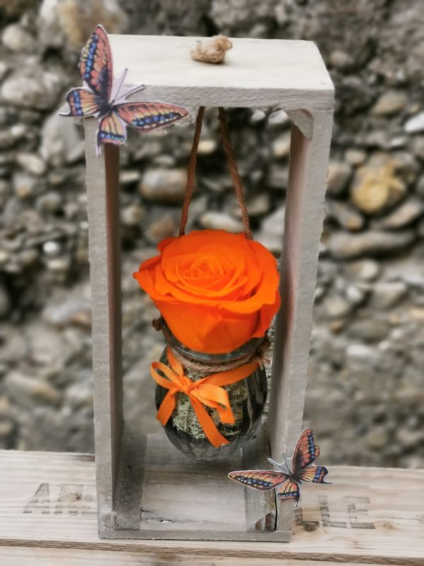 Rose éternelle suspendue (Orange)