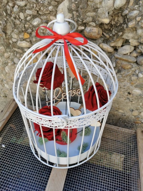 Amour en cage