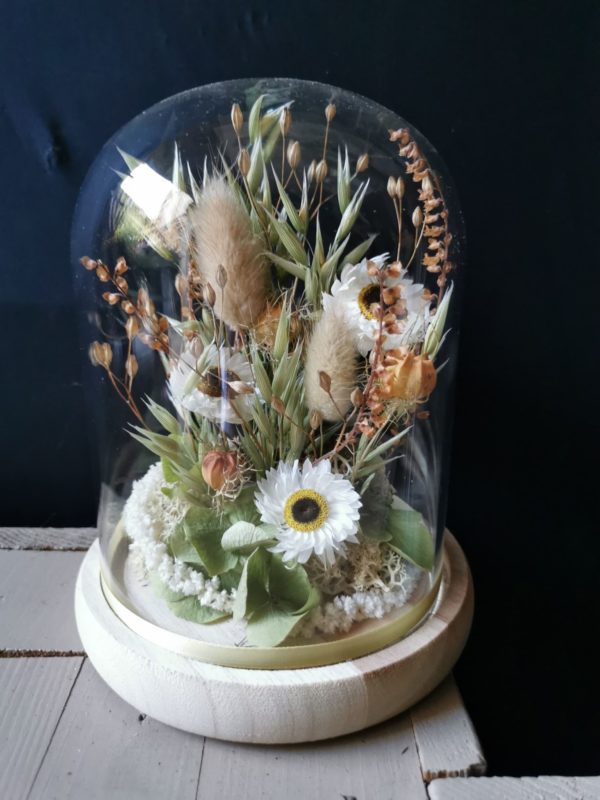 Fleurs séchées sous cloche