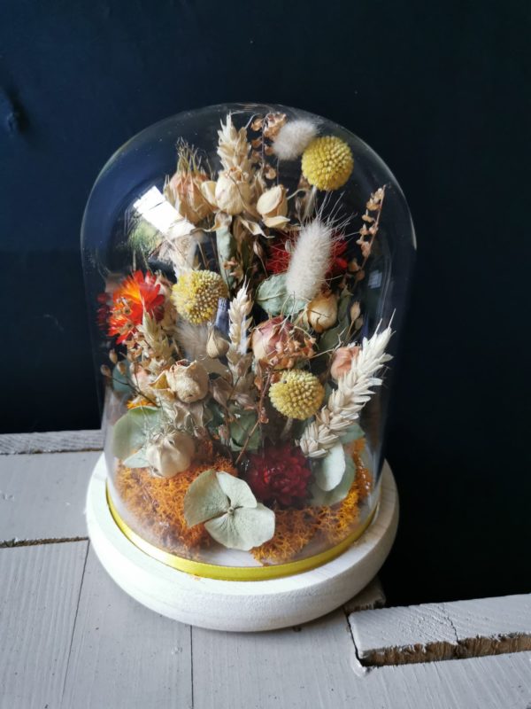 Fleurs séchées sous cloche