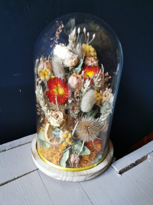 Fleurs séchées sous cloche
