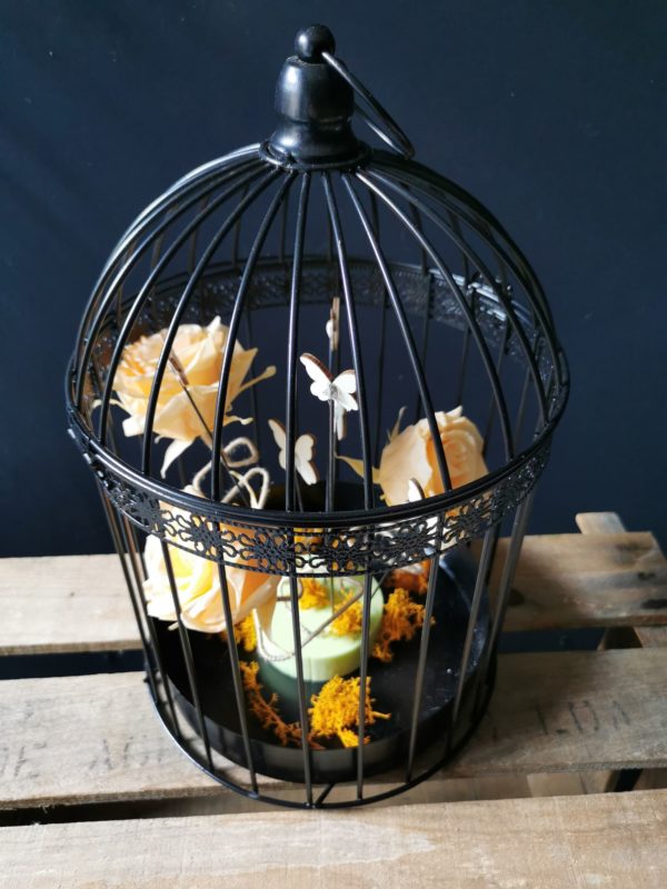 Cage de roses