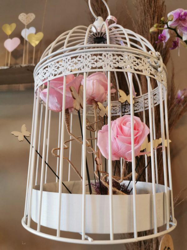 Cage de roses