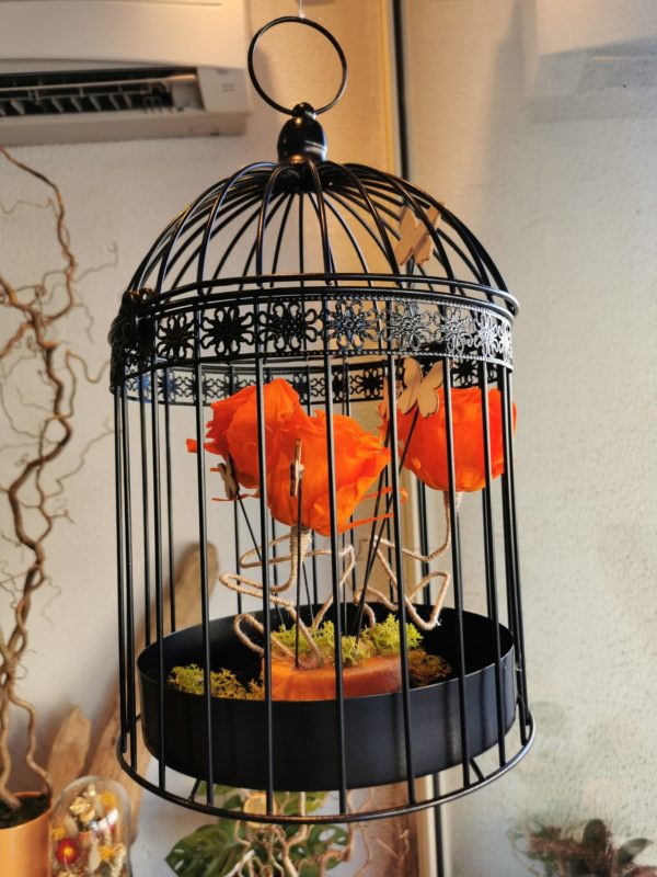 Cage de roses