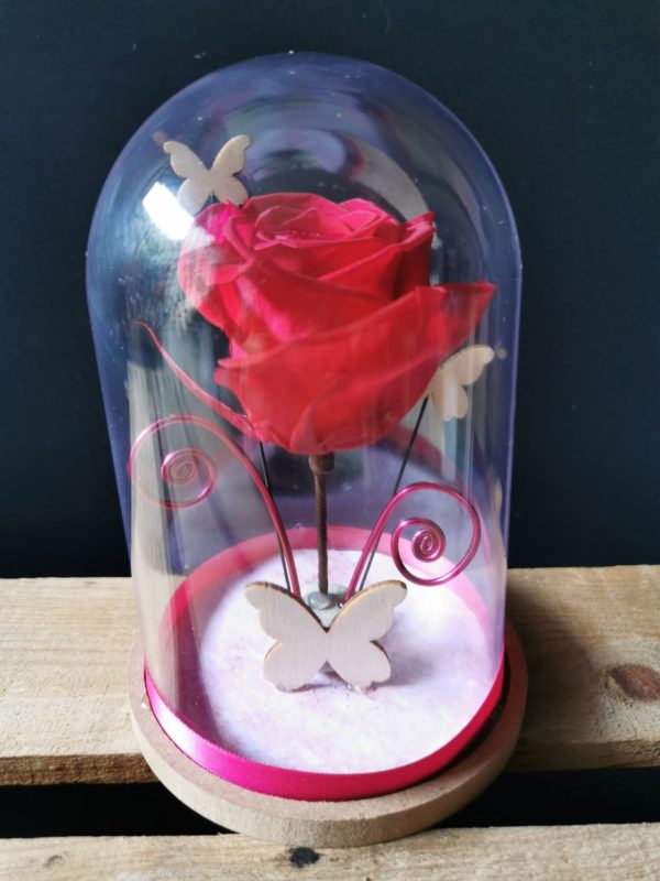Rose éternelle sous cloche