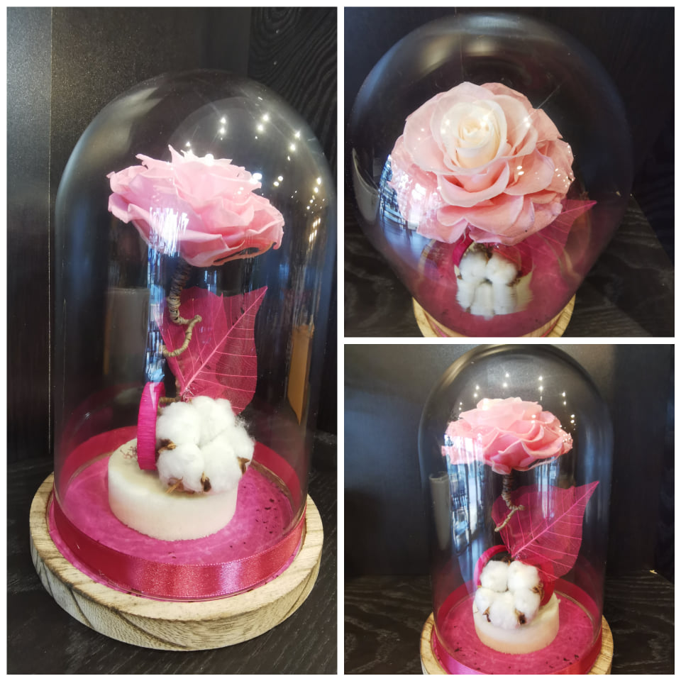 Rose rose éternelle XXL sous cloche - Lilice Artisan Fleuriste