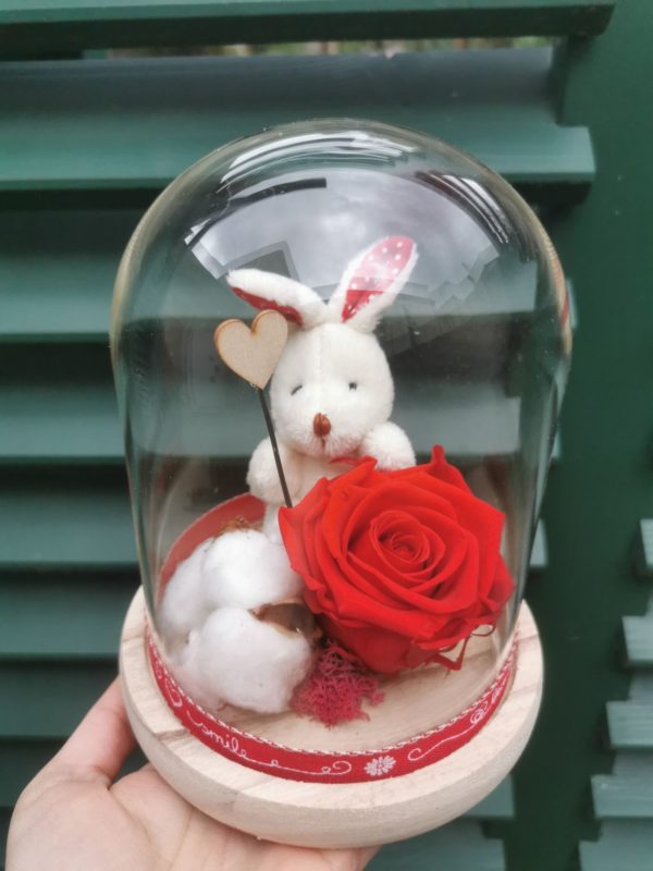 Formule B Rose stabilisée sous cloche