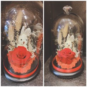 Rose stabilisée rouge ou blanche et sa petite peluche sous cloche