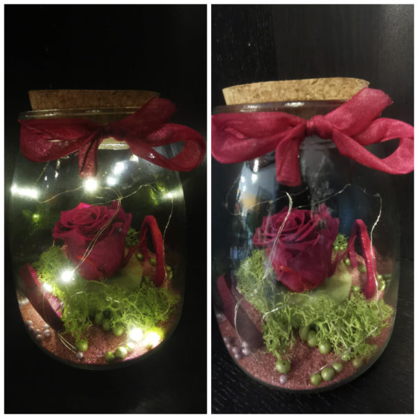 Rose éternelle Prune, avec sa guirlande lumineuse, dans son bocal