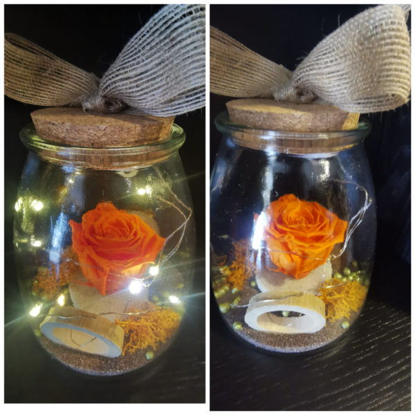 Rose éternelle Orange, avec sa guirlande lumineuse, dans son bocal