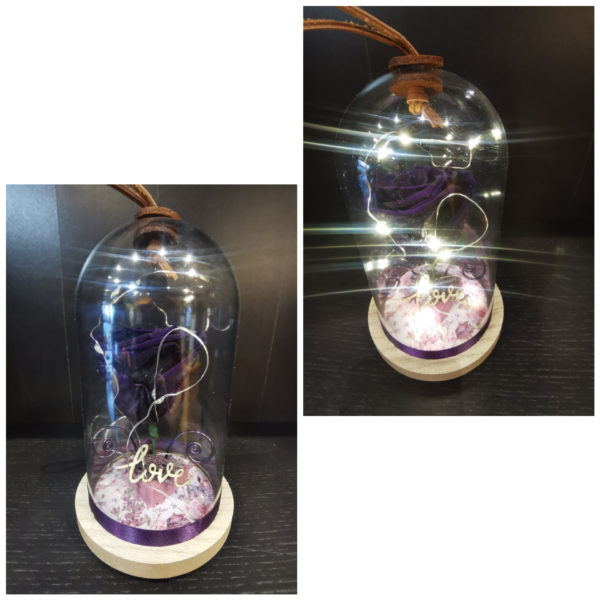 Rose éternelle "Prune", avec sa guirlande lumineuse, sous sa cloche .