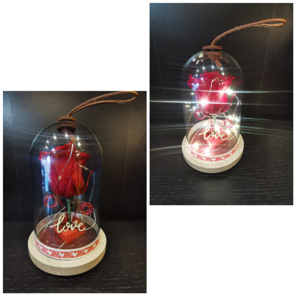 Rose éternelle Rouge, avec sa guirlande lumineuse, sous sa cloche .