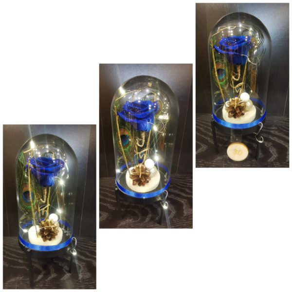 Rose éternelle Bleue, avec sa guirlande lumineuse, sous sa cloche + mini nounours .