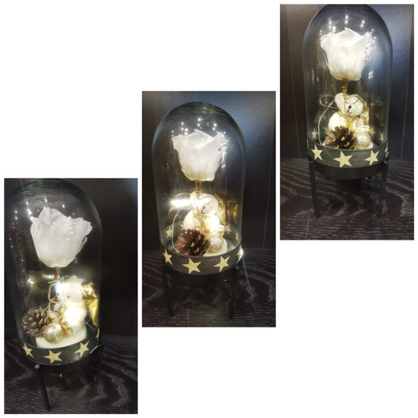 Rose éternelle Blanche, avec sa guirlande lumineuse, sous sa cloche + mini nounours .