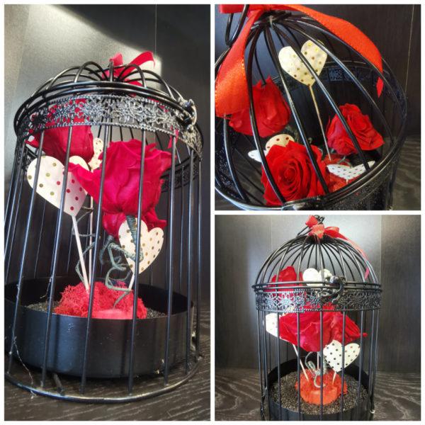 Amour en cage