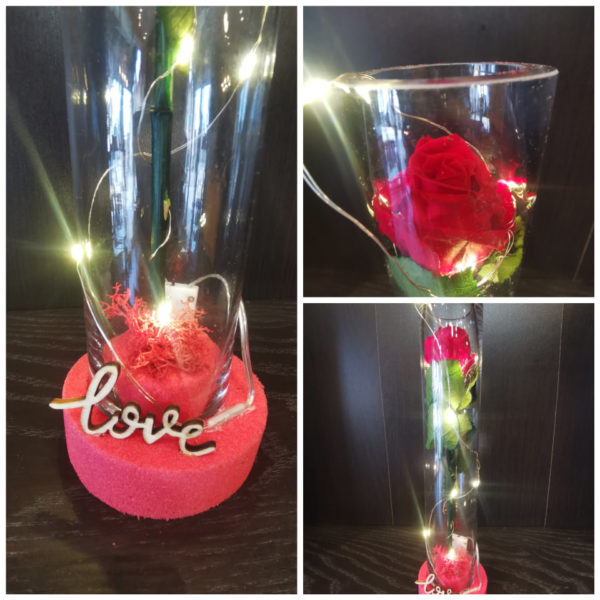 Rose stabilisée dans son tube en verre et sa guirlande lumineuse