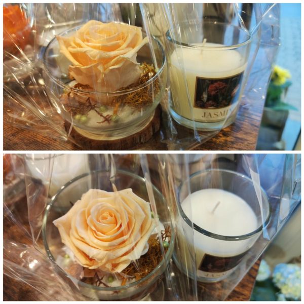 Duo rose stabilisée jaune , orange ou pêche  accompagnée de sa bougie